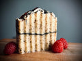 Raspberry Black Tea Goat Milk Bar Soap